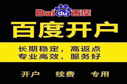 百度竞价广告与社交媒体广告的联合投放案例